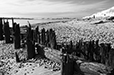 What Remains 32